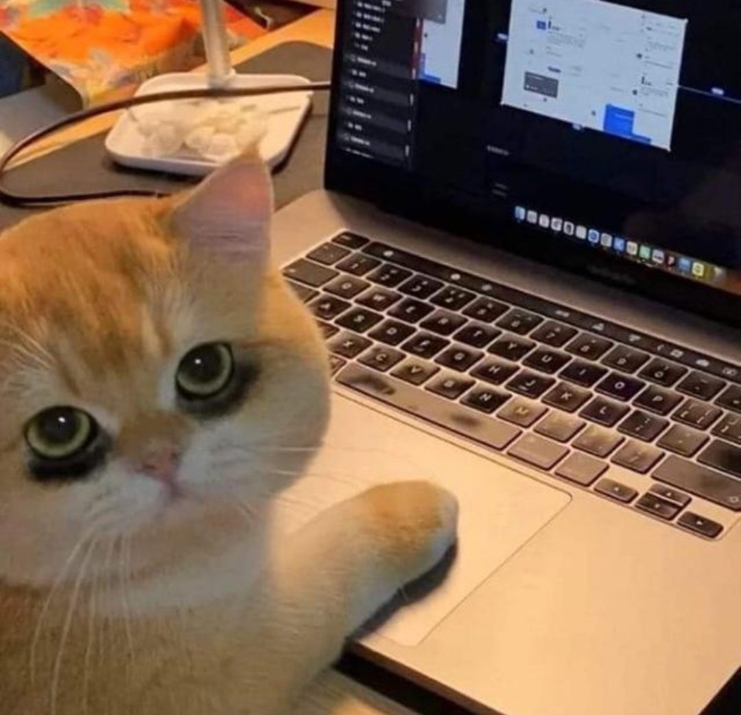 Foto Guru